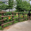 수일로219번길 이미지