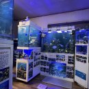 오천수족관 이미지