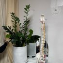 남동100 | [인천 남동] 이더숲 체형회복센터 | 커플 체형관리, 남여 원장 1:1 관리 대만족 후기