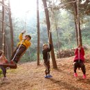 계남 유아숲체험원 이미지