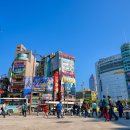 서화여행사