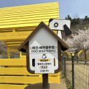 가평(춘천방향)휴게소 한식당 | 가평 휴게소 춘천방향 강아지 운동장 반려견 펫파크 후기 애견동반 식당