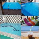 안면도 네잎클로버 수영장 이미지