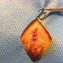 애경동물병원 이미지