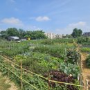 보람농장 이미지