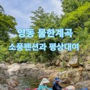 물한계곡뜨락펜션 | 영동 물한계곡,평상대여 가능한 깨끗한 상류의 대전 근교 소풍펜션