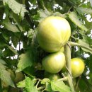 승재 농장 이미지