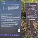 조강철책길 이미지