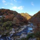 힐링스테이 우드밸리 이미지