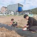 대전유성지역자활센터좋은농장 | [대전 2탄] 복용동 공영도시농업농장