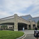 가평리조트 골프장 | 페어웨이 잔디 실종된 샤인데일CC 야간 라운딩 후기(26년 8월 샤인데일 골프앤리조트)