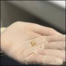 올바른약속치과의원 이미지