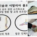 현대벤처빌 이미지