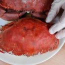 어부농장 이미지