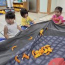 퍼니큐-새우~🦐 이미지