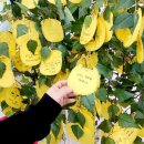 (주)문산여객 | DMZ 평화의길 파주구간 둘레길 방문 후기(파주GP): 신청방법· 찾아가는 법