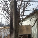 옥천리 당간지주 이미지