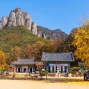 (여행) "설악산·지리산 제쳤다" 5060세대가 직접 뽑은 올가을 최고의 단풍 명소 이미지