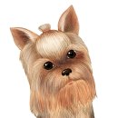 따라 애견학교 이미지