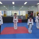 국가대표 탑 태권도장 네이버블로그