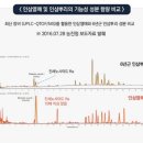 천년인삼 이미지