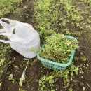 다금농장 이미지