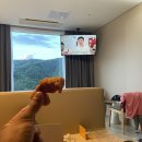 꼬꼬가 돌아왔닭. 옛통