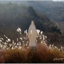 (주)성지 Daum카페