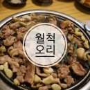 월척오리 이미지