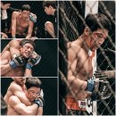 파파피나