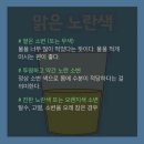 소변으로 알아보는 신장건강 자가진단 이미지