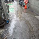 두성2 | 을지로 인더페이퍼(두성종이)에서 전지 사오기!