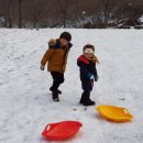 푸른쉼터 이미지