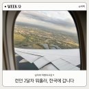 케이카클리닉 | [🇬🇧영국 워홀 9주] 런던 2달차 워홀러, 한국에 갑니다