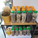 샬롬식당 이미지