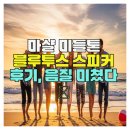 스피커 | 마샬 미들톤 블루투스 스피커 후기, 음질 미쳤다 🔊