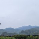 후농부동산공인중개사사무소 | 봉담자이·힐스테이트 실거주 후기｜상권·교통·학군 솔직 정리