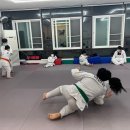 (Dream of Judo)노은유도관 네이버블로그