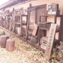 은행나무마을 이미지