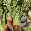 갑을상회 이미지