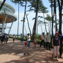 누리마루 이미지