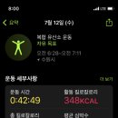 예다미 이미지