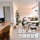 스테이정동 | [강릉여행 1] 정동진 독채 감성숙소 스테이정동 / 힐링 10,000프로 하고 돌아온 여행 일기