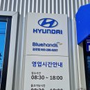 블루핸즈금강점