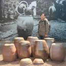 제주특별자치도 민속자연사박물관 이미지