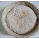 도우통상 이미지