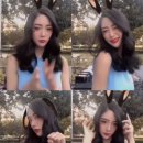 클라라 이미지