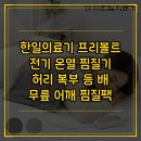 한일전기씨에스(주) | 한일의료기 프리볼트 전기 온열 찜질기 찜질매트 찜질팩 허리 어깨 무릎 복부 등 배용 정품 빠른배송