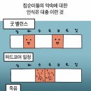 족황상제 - 강남구 개포로22길 21 | 족황상제