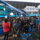 중도매인 18호 이미지